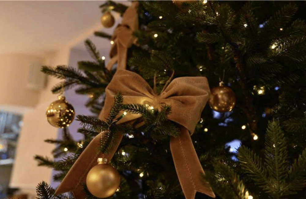 Kom langt væk, tæt på